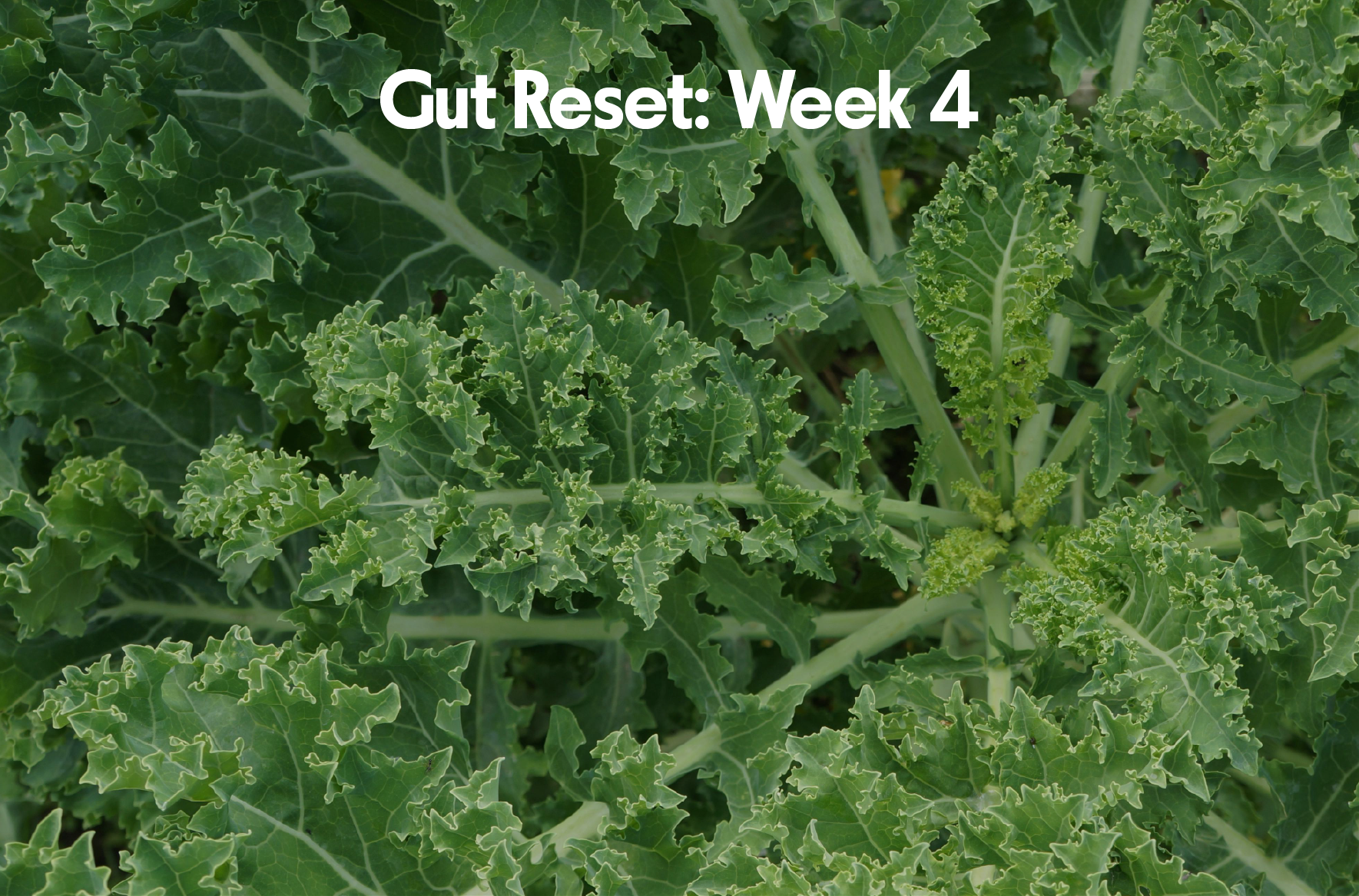 Gut Health Reset: Week 4