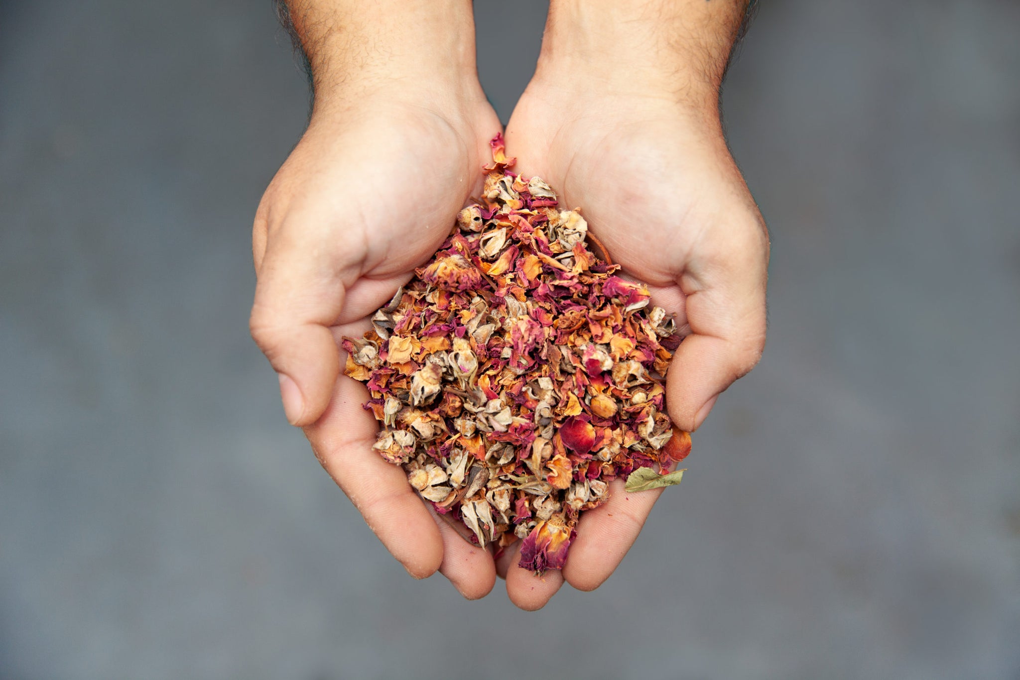 In Full Bloom: Botanicals, Herbs & Adaptogens - Better Booch Kombucha