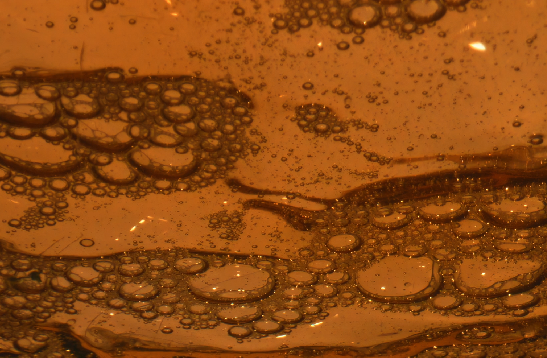 How to Make Kombucha: The Complete Guide to Brewing Fermented Tea