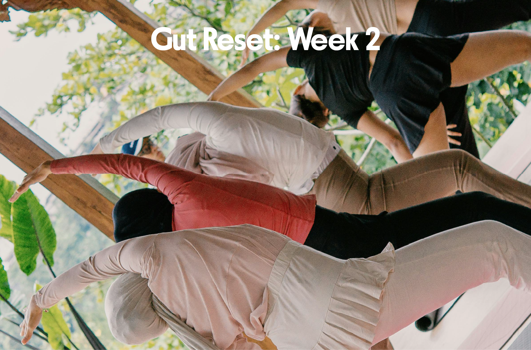 Gut Health Reset: Week 2