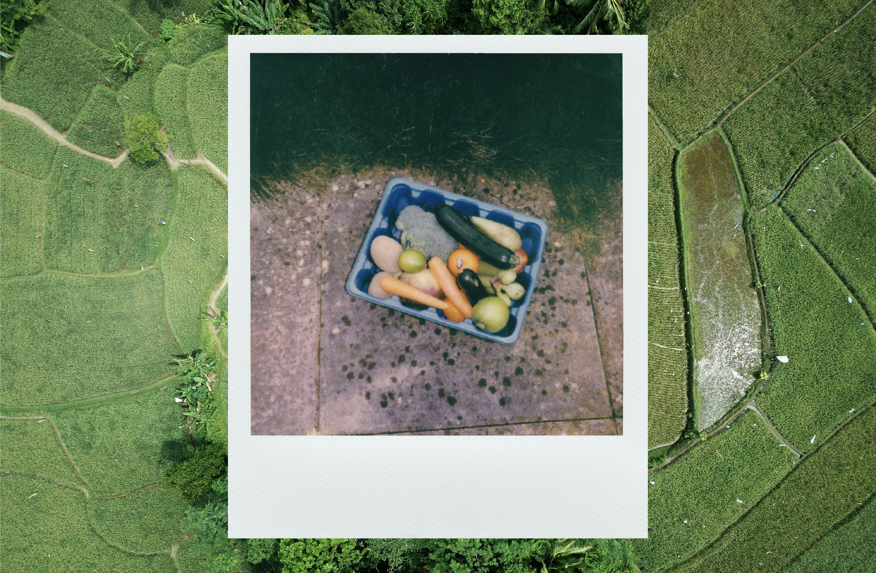 The Organic Advantage: Why Better Booch Chooses Organic