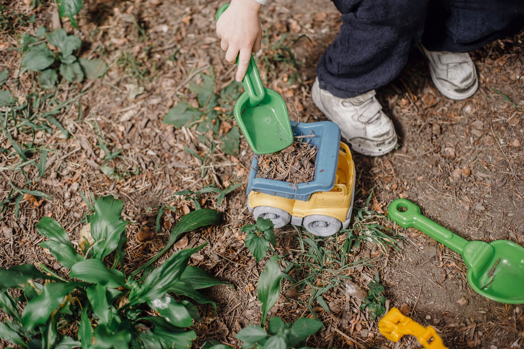 The Power of Dirt: How Nature Trains Our Immune System