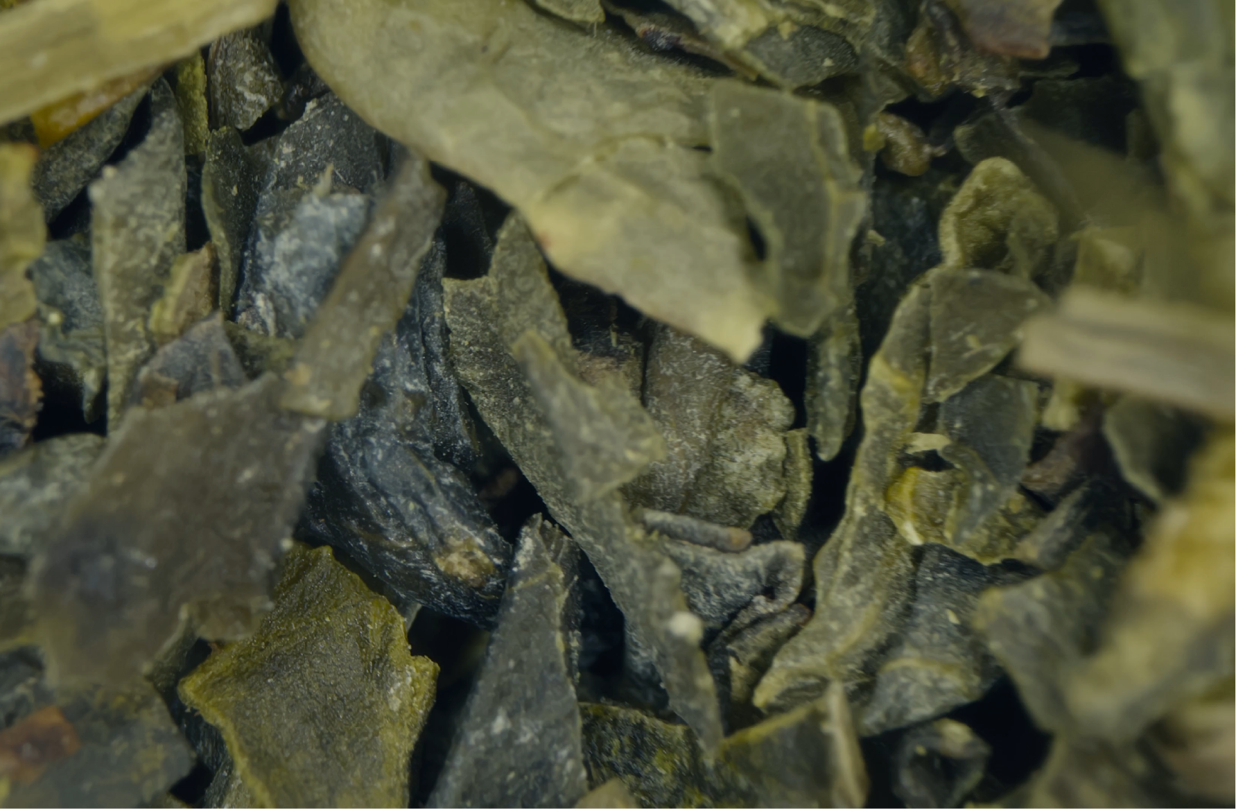 Does Kombucha Contain Caffeine? The Surprising Truth About Caffeine in Fermented Tea