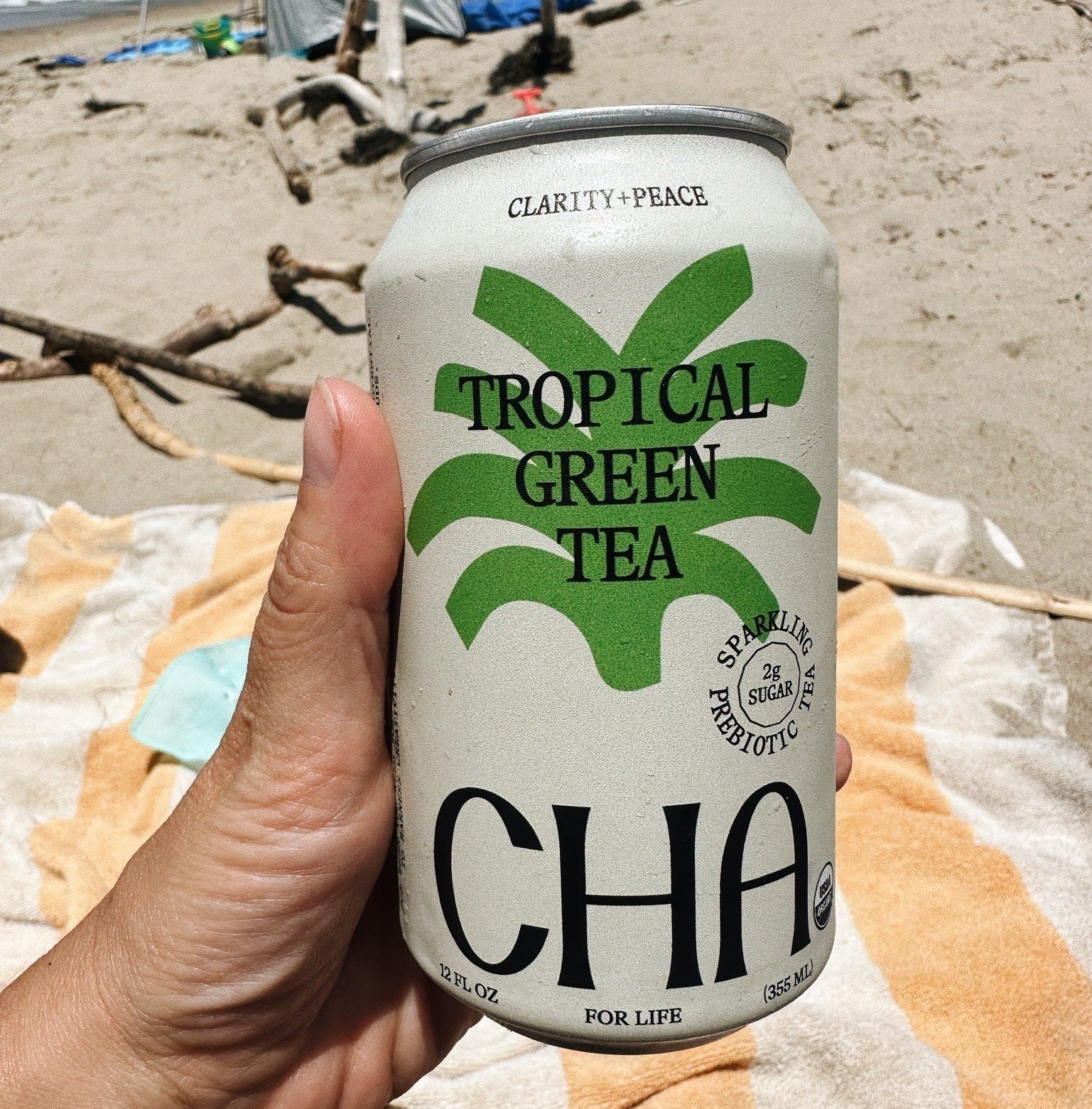 CHA Tropical Green Tea 12oz Can 12 Pack